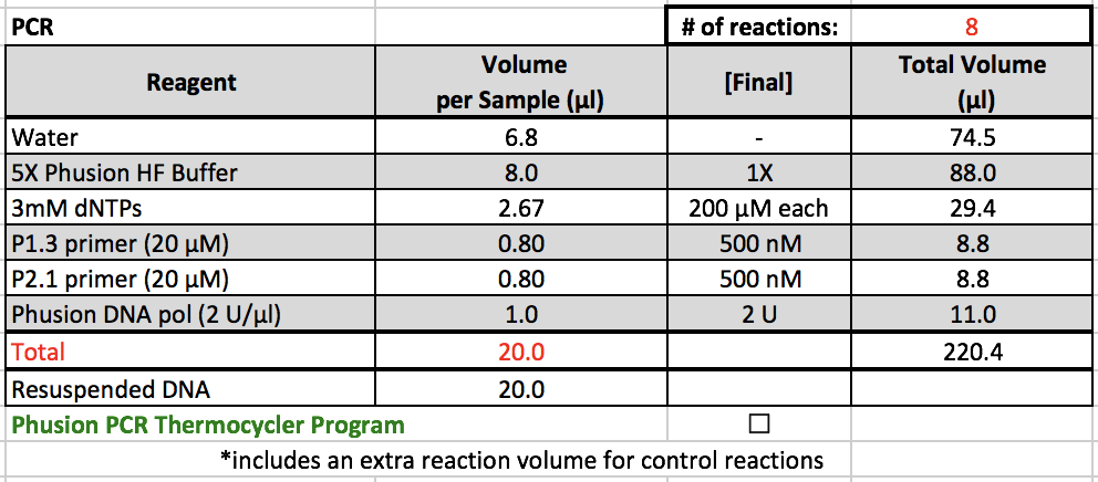 PCR Master Mix