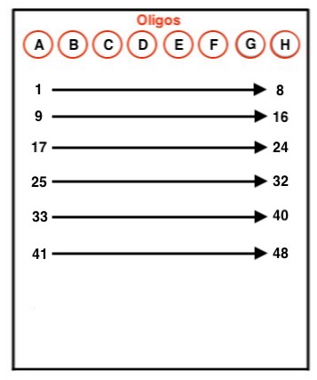 second adapter ligation strip tube orientation