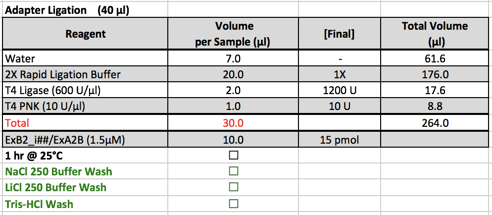 Adapter Ligation