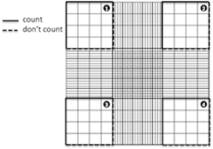Hemocytometer Grid Diagram