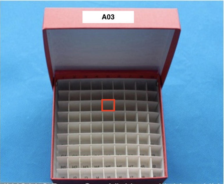 Yeast Box