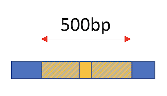 ExpandBED_center_500bp